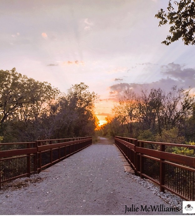 I like coffee in the morning. Rose oil and sunshine Julie McWilliams