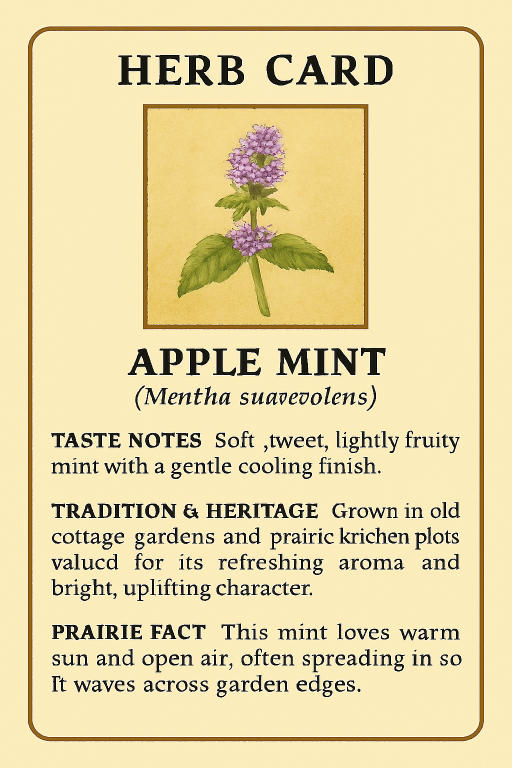 Apple Mint: The Soft‑Spoken Wanderer of the Prairie